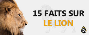 15 Faits Sur Le Lion