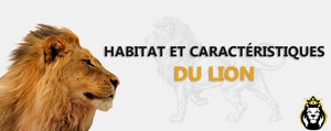 Habitat Et Caractéristiques Du Lion