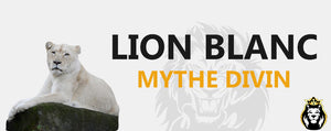 Lion Blanc Mythe Divin