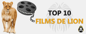 Top 10 Films De Lion