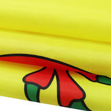 Drapeau Lion Héraldique de Flandres