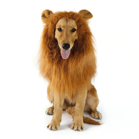 costume de lion pour chien avec oreilles