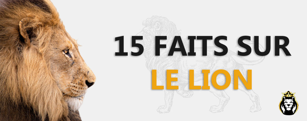 15 Faits sur le Lion que tu dois connaître !