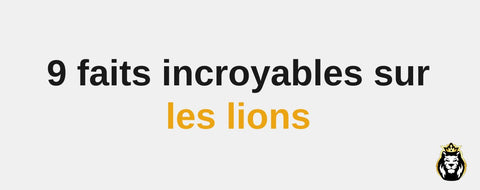 9 faits incroyables sur les lions