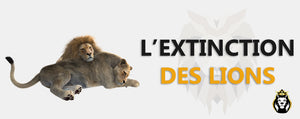 Extinction Du Lion