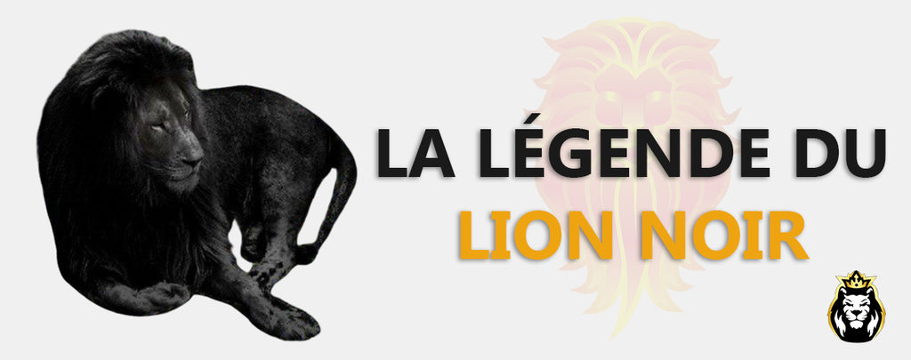 La légende du Lion Noir !