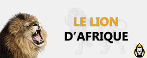 Le Lion D'Afrique