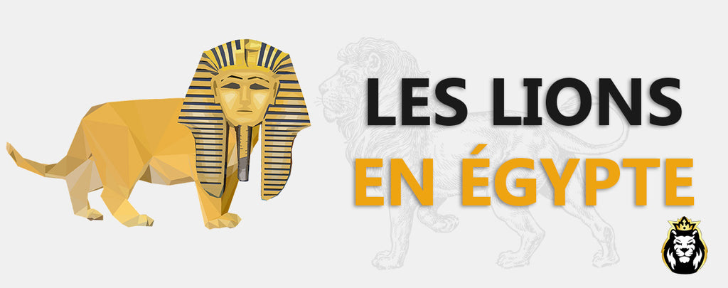Les Lions En Egypte !