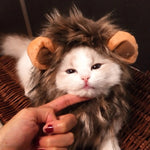 costume crinière lion pour chat