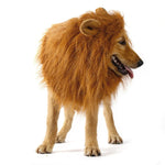 costume de lion pour chien de coté avec oreilles