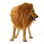 costume de lion pour chien de coté sans oreilles