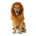 costume de lion pour chien sans oreilles
